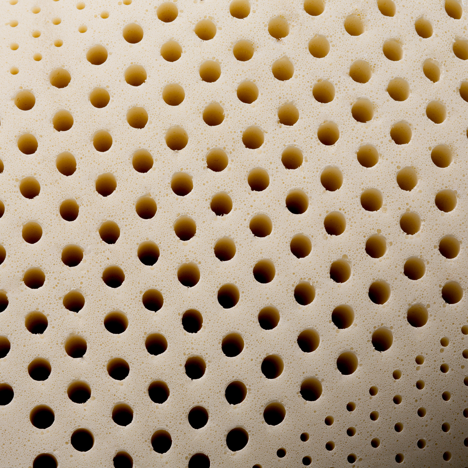 Talalay High Loft Plush Pillow Close Up of Pillow Form