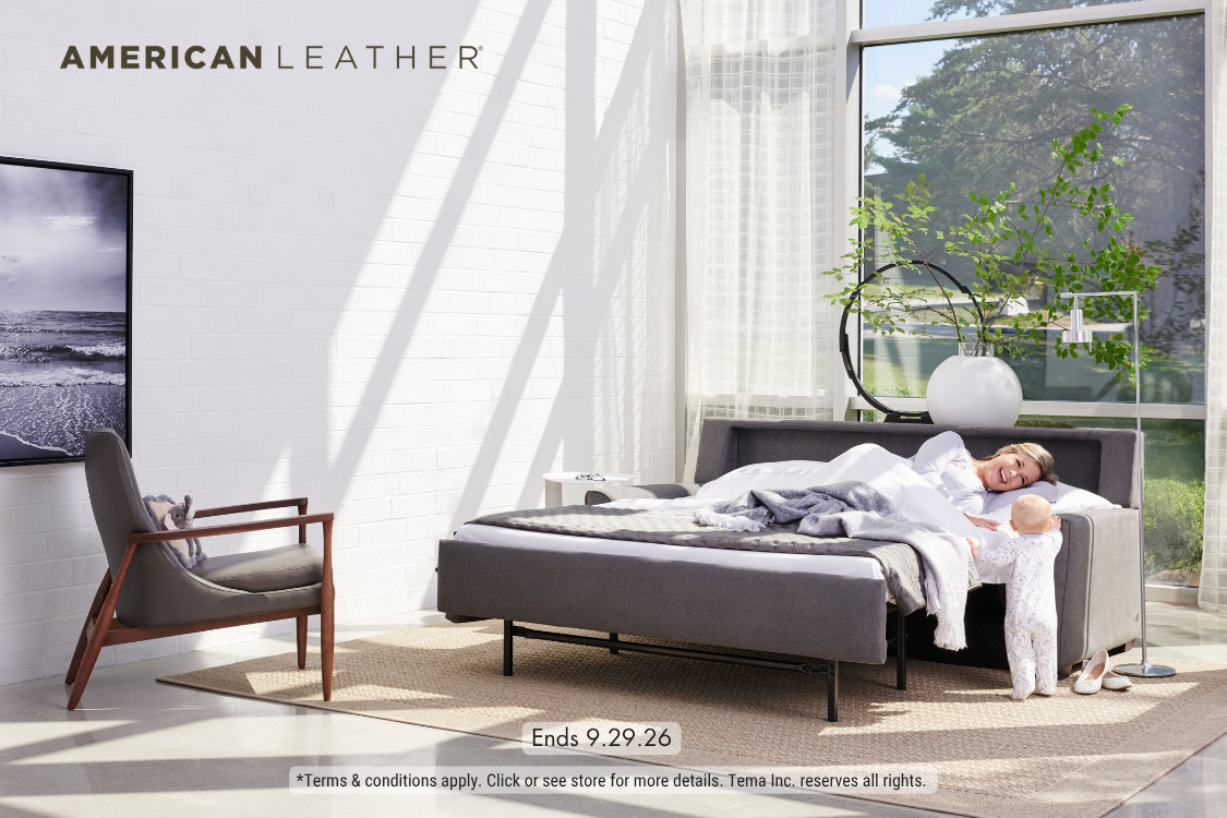 Save on American Leather Sleepers