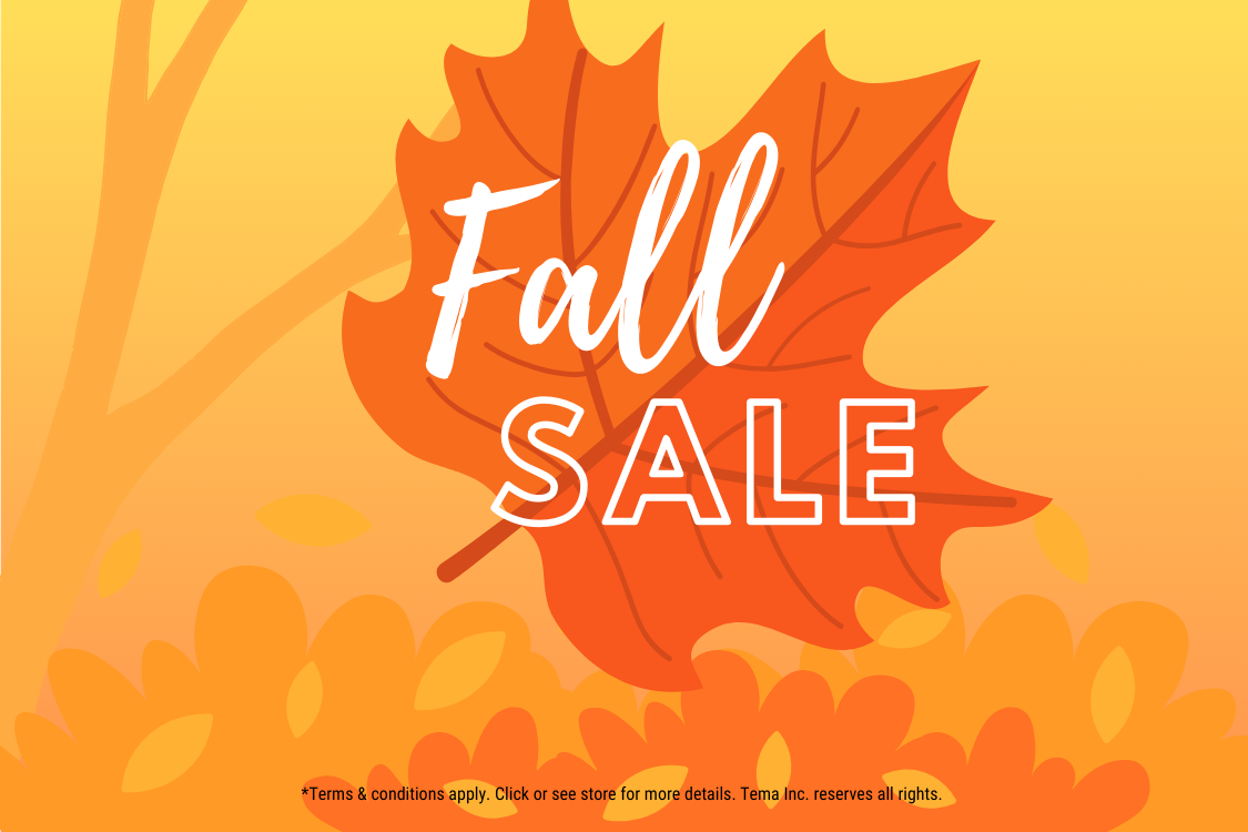 Fall into Savings