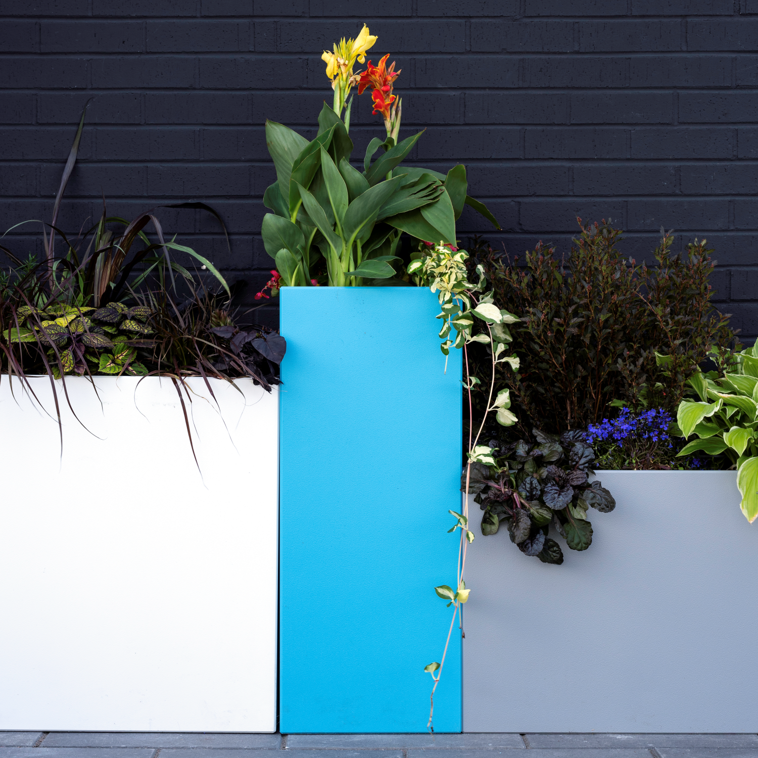 Tessellate Planter Rectangle Lifestyle Image